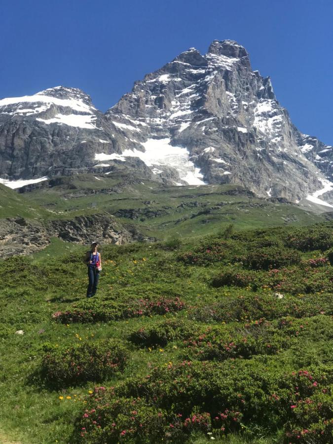 Piccolo Paradiso In Centro Cervinia Breuil-Cervinia Exteriér fotografie